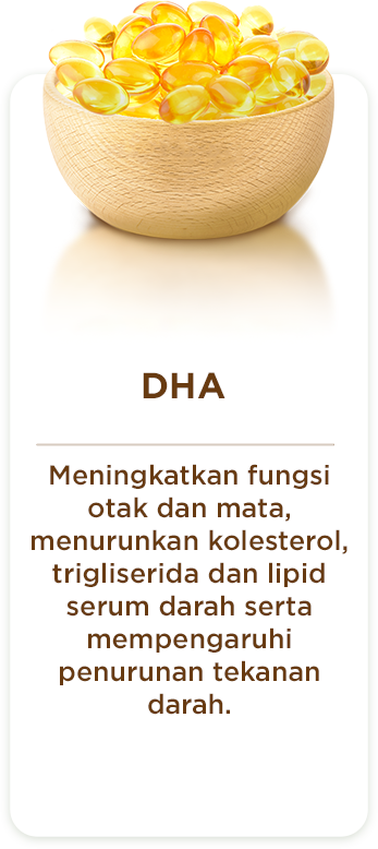 Section 4 - DHA