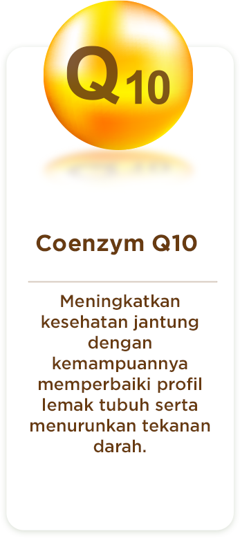 Section 4 - Q10