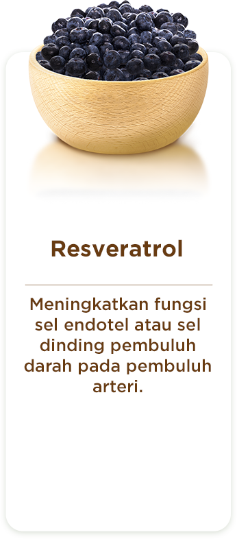 Section 4 - Resveratol