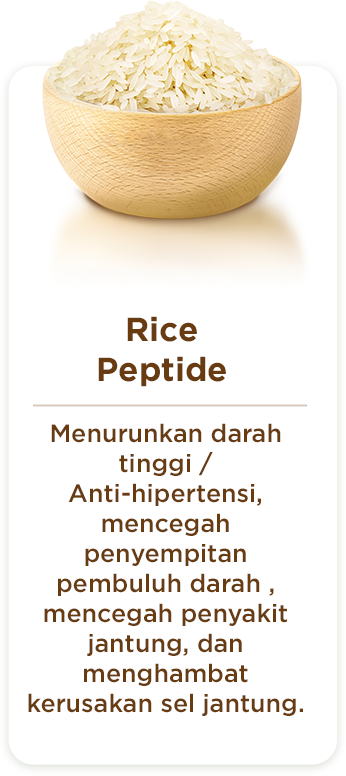 Section 4 - Rice