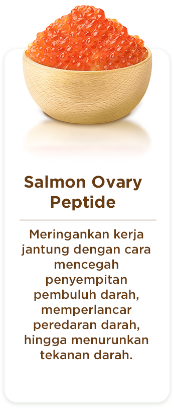 Section 4 - Salmon