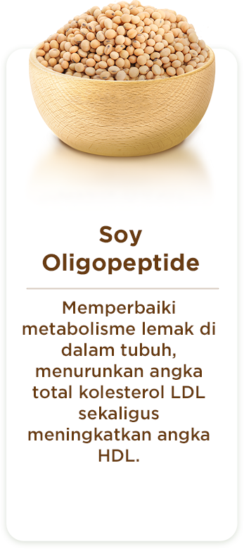 Section 4 - Soy
